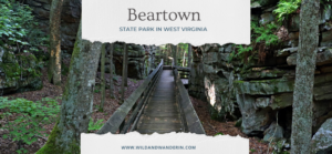 Beartown State Park, West Virginia