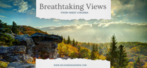 Breathtaking Views in West Virginia