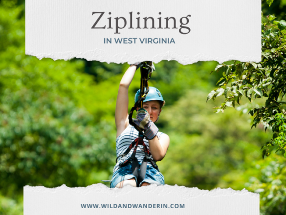 Ziplining in West Virginia